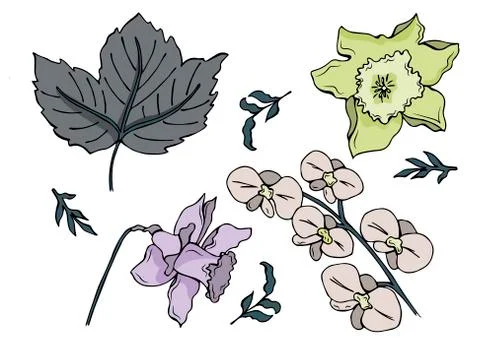 Set of flowers in colour designed in vector Stock Illustration