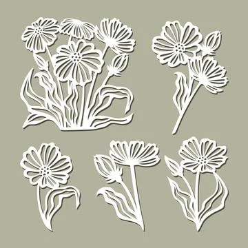 Set of flowers, daisies, chamomile.  Stock Illustration