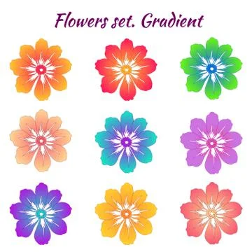 A set of flowers in different gradient colors. Trendy colors. Blooming buds.  Stock Illustration