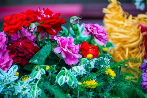 A set of flowers in a flower bed, multi-colored small flowers in a flower bed Stock Photos