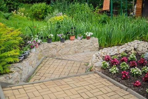 A set of flowers in a flower bed, multi-colored small flowers in a flower bed Stock Photos