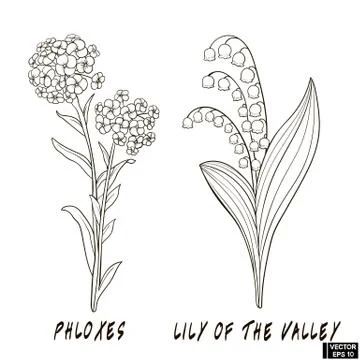 Set of flowers hand draw Иллюстрация