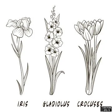 Set of flowers hand draw イラスト素材