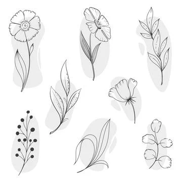 Set of flowers in hand drawn style Stock Illustration