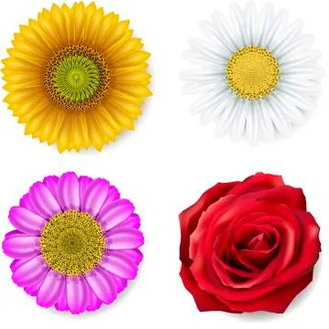 Set of flowers Stock Illustration