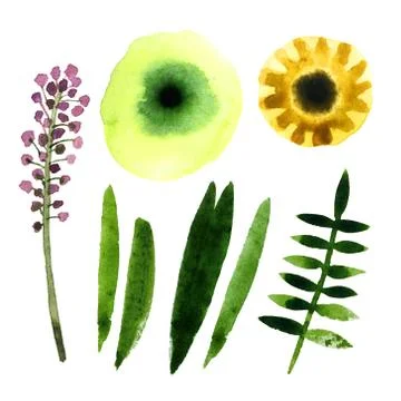 Set of flowers Stock Illustration