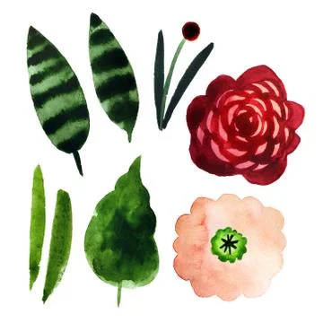 Set of flowers Stock-Illustration