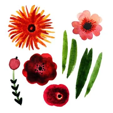 Set of flowers Stock Illustration