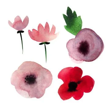 Set of flowers Stock Illustration