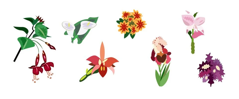 Set of flowers Stock Illustration