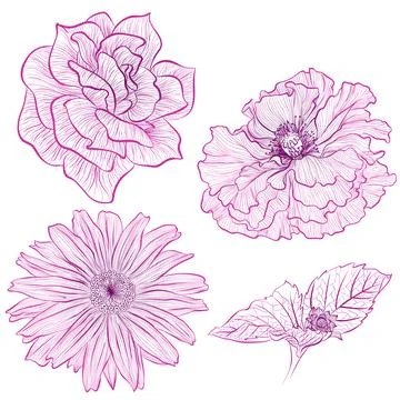 Set of flowers 스톡 일러스트