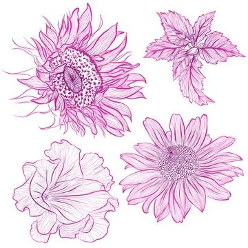 Set of flowers Stock Illustration