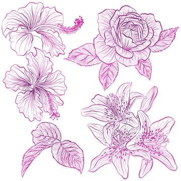 Set of flowers Stock Illustration
