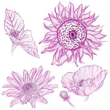 Set of flowers 스톡 일러스트