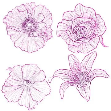 Set of flowers Stock Illustration