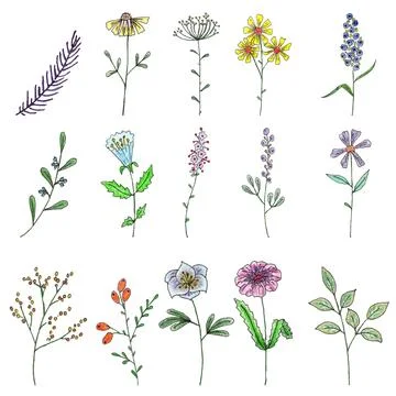 Set of flowers Illustrazione stock