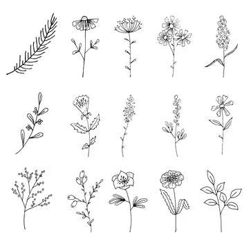 Set of flowers Illustrazione stock