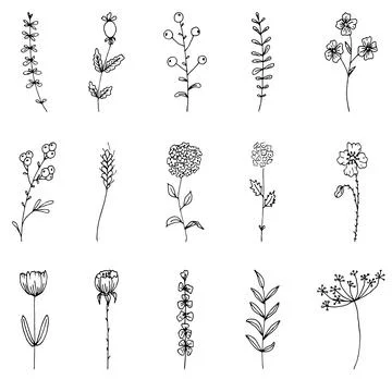 Set of  flowers Stock Illustration