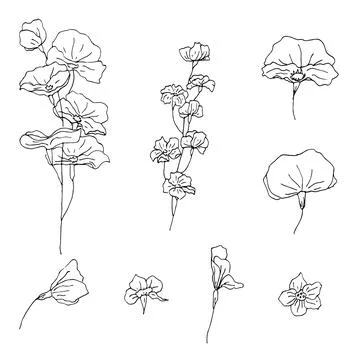 Set of flowers Stock Illustration