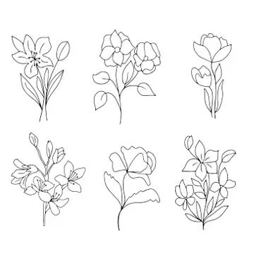 Set of flowers in a linear style, vector graphics on a white background. For Stock Illustration