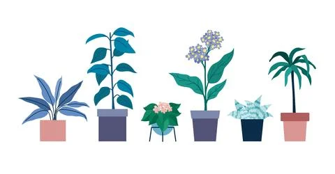 A set of flowers in pots Stock Illustration