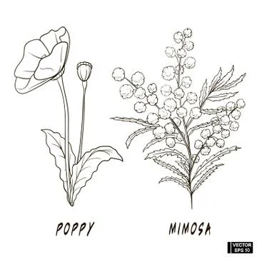 Set of flowers sketch Stockillustratie