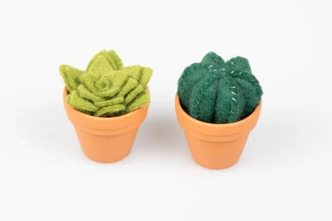 Set flowers small artificial cactus plant pots in fabric on white background Stock Photos