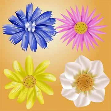 A Set of Flowers with Various Colors Vector Illustration Stock Illustration