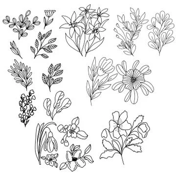 Set of flowers in vector graphics, in a linear style, for decorating wallpapers Stock Illustration