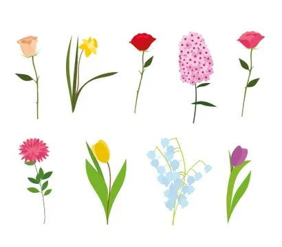 Set of flowers vector isolated Stock Illustration