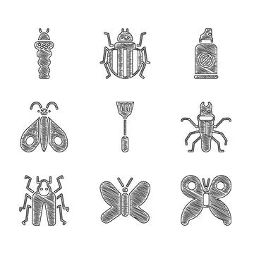 Set Fly swatter, Butterfly, Termite, Beetle bug, Spray against insects and La Stock Illustration