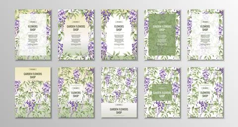 Set of flyer templates for poster, invitations with purple wisteria. A4 size  Stock Illustration