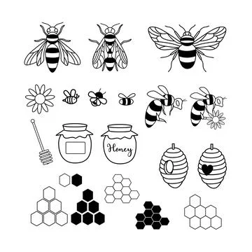 Set of flying bee vector illustrations , honey bee , house bee, jar and flower Stock Illustration