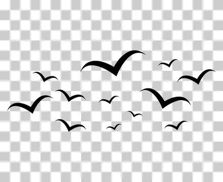 Set of flying bird design, nature freedom flock sign, vector illustration Stock Illustration