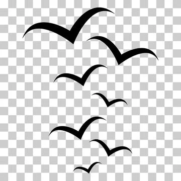 Set of flying bird design, nature freedom flock sign, vector illustration Stock Illustration