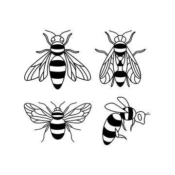 Set of flying honey bee vector illustrations Stock Illustration