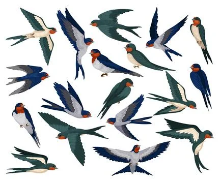 Old school swallow Cut Out Stock Images & Pictures - Alamy