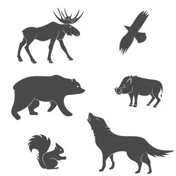 Set of forest animals vector Illustrazione stock
