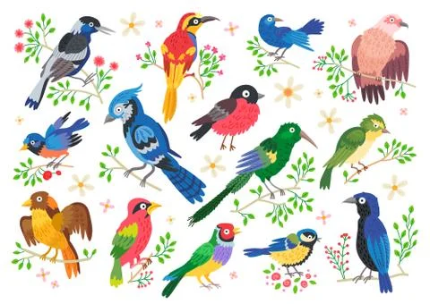 Set of forest birds. Vector cartoon songbirds Stock Illustration