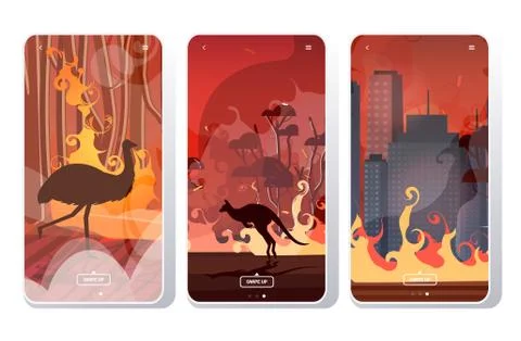 Set forest fires in australia wildfire bushfire burning trees natural disaste Stock Illustration