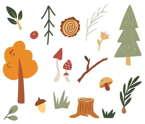 Set of forest items. Stumps, trees, branches, mushrooms, leaves and berries.  Stock Illustration