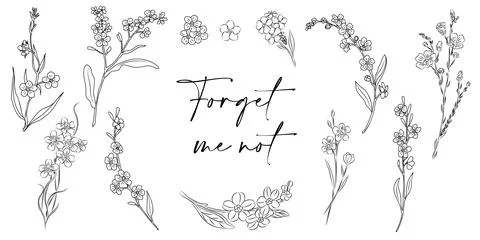 Set of Forget me not flower line art vector. Illustrazione stock