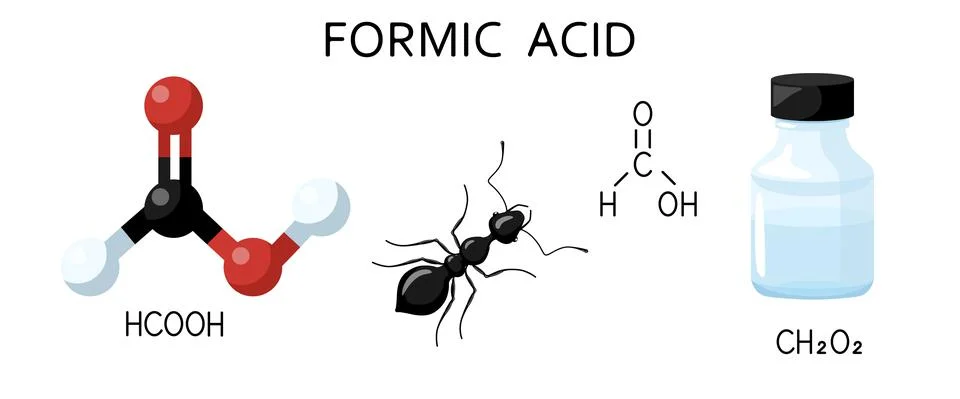 Set of Formic acid solution in blue bottle isolated on white background. Stru Illustrazione stock