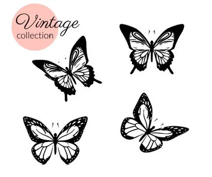 Set of four black and white butterflies silhouette with open wings Stock Illustration