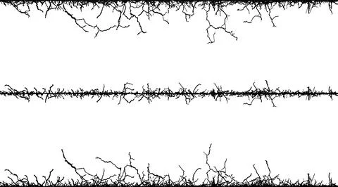 A set of four black and white images of branches Stock Illustration