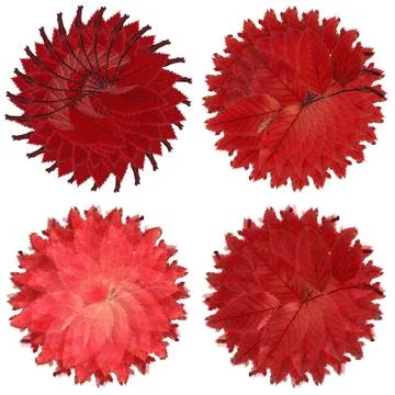 Set of four circular leaf backgrounds Stock Illustration