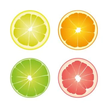 Set of four colored isolated slices of citrus: green color lime, yellow lemon Stock Illustration