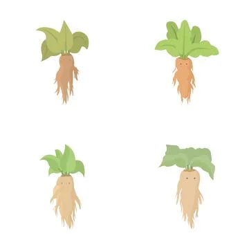 Set of four cute cartoon root vegetables with green tops isolated on white Stock Illustration