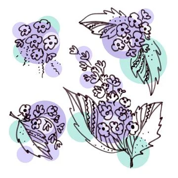 Set of four Floral elements in the style of line art on a white background Stock Illustration