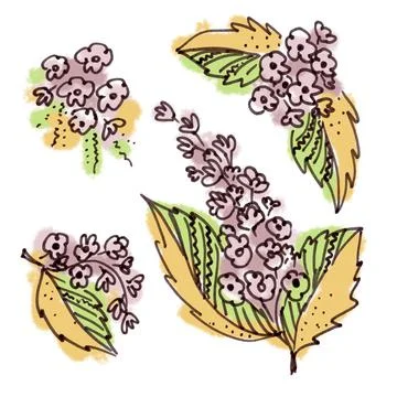 Set of four Floral elements in the style of line art on a white background. Bird Stock Illustration